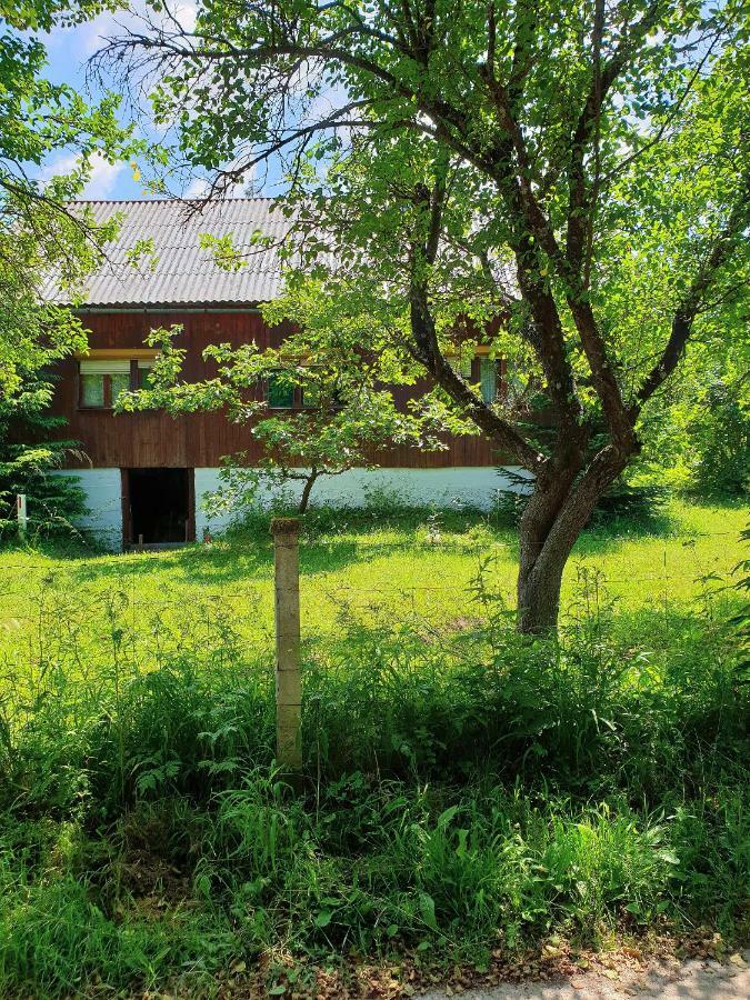 Draga Koncar Guest House Vrelo Koreničko Exterior foto